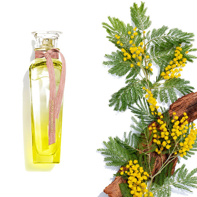 Adolfo Dominguez Agua Fresca de Mimosa Coriandro EDT 120 мл – Тоалетна вода за жени - Image 5