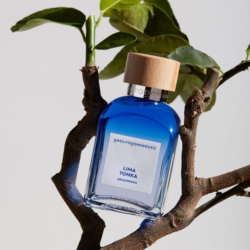 Adolfo Dominguez Agua Fresca Lima Tonka EDT 120 мл – Тоалетна вода за мъже - Image 7