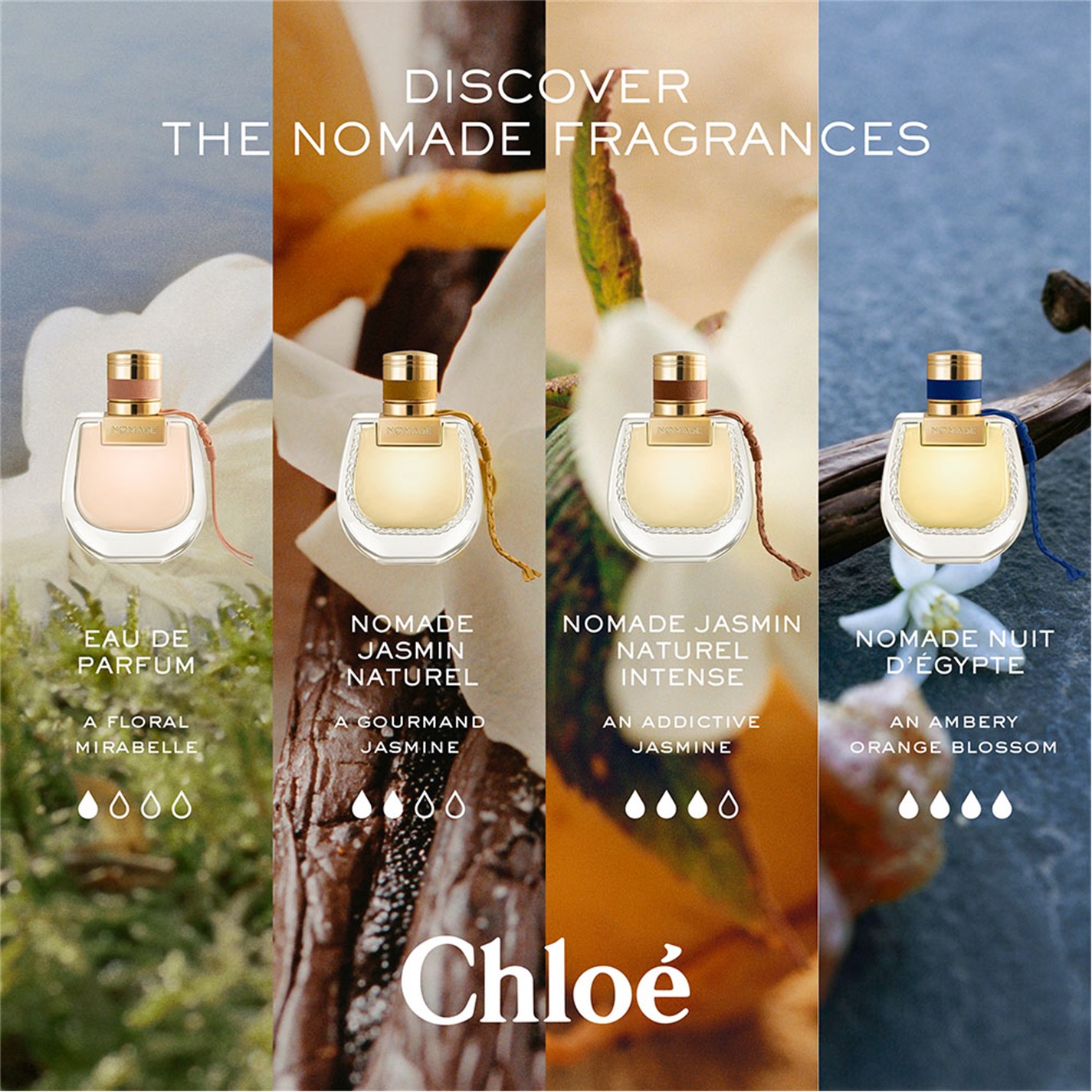 Дамски луксозен комплект – Chloé Nomade Set - Image 8