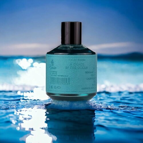 Paris Corner Emir A Chaos In The Ocean EDP 100 мл – Дървесен аромат с морска трева - Image 8